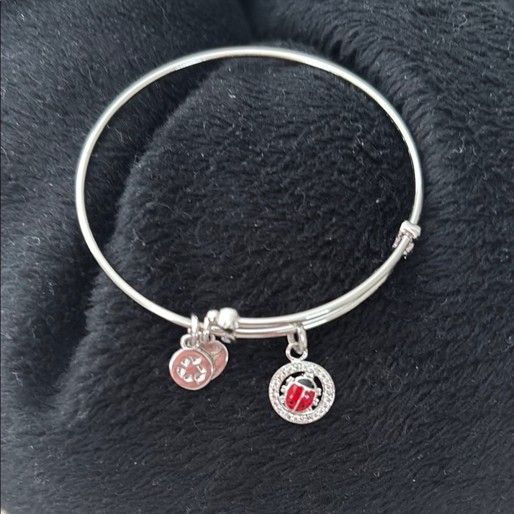 Silver and Red LADYBUG Charm Bracelet